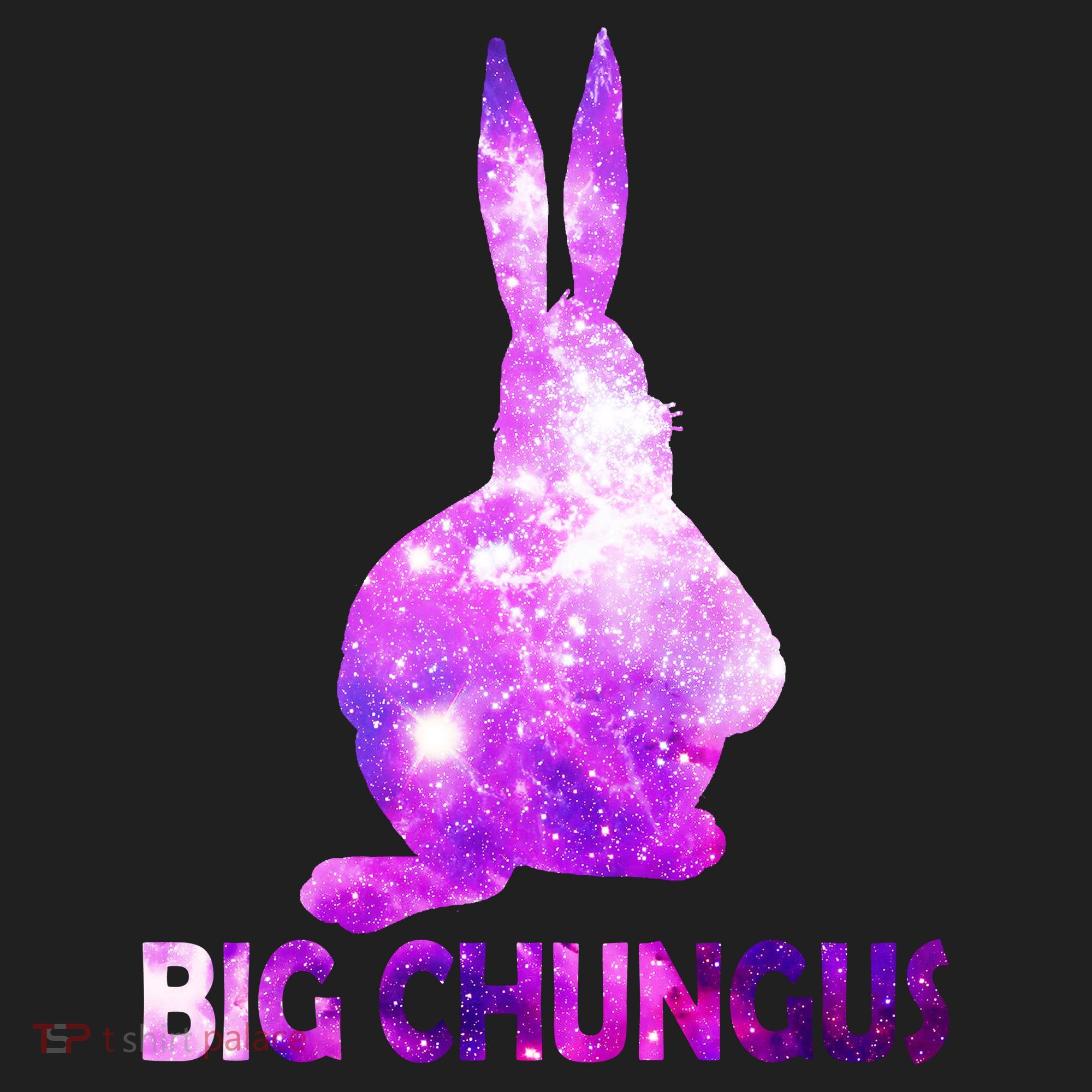 Big Chungus Galaxy Tumbler
