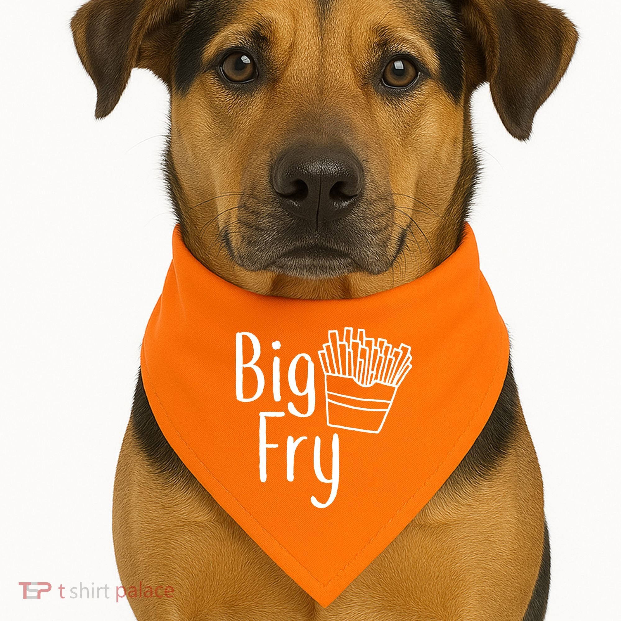 Big Fry USA-Made Doggie Bandana