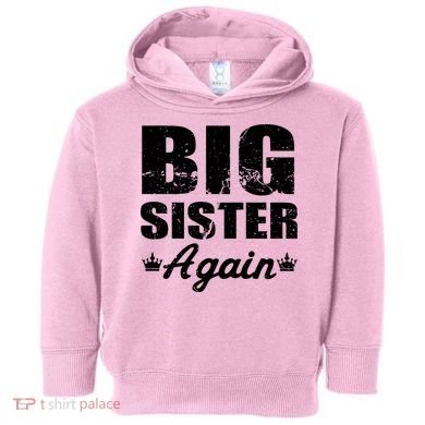 Big Sister Again Toddler Hoodie