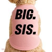 Big Sister Announcement Big Sis Doggie Tank thumb 0