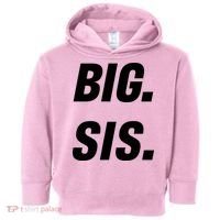 Big Sister Announcement Big Sis Toddler Hoodie thumb 0