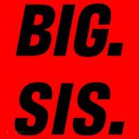 Big Sister Announcement Big Sis Santa Hat thumb 1