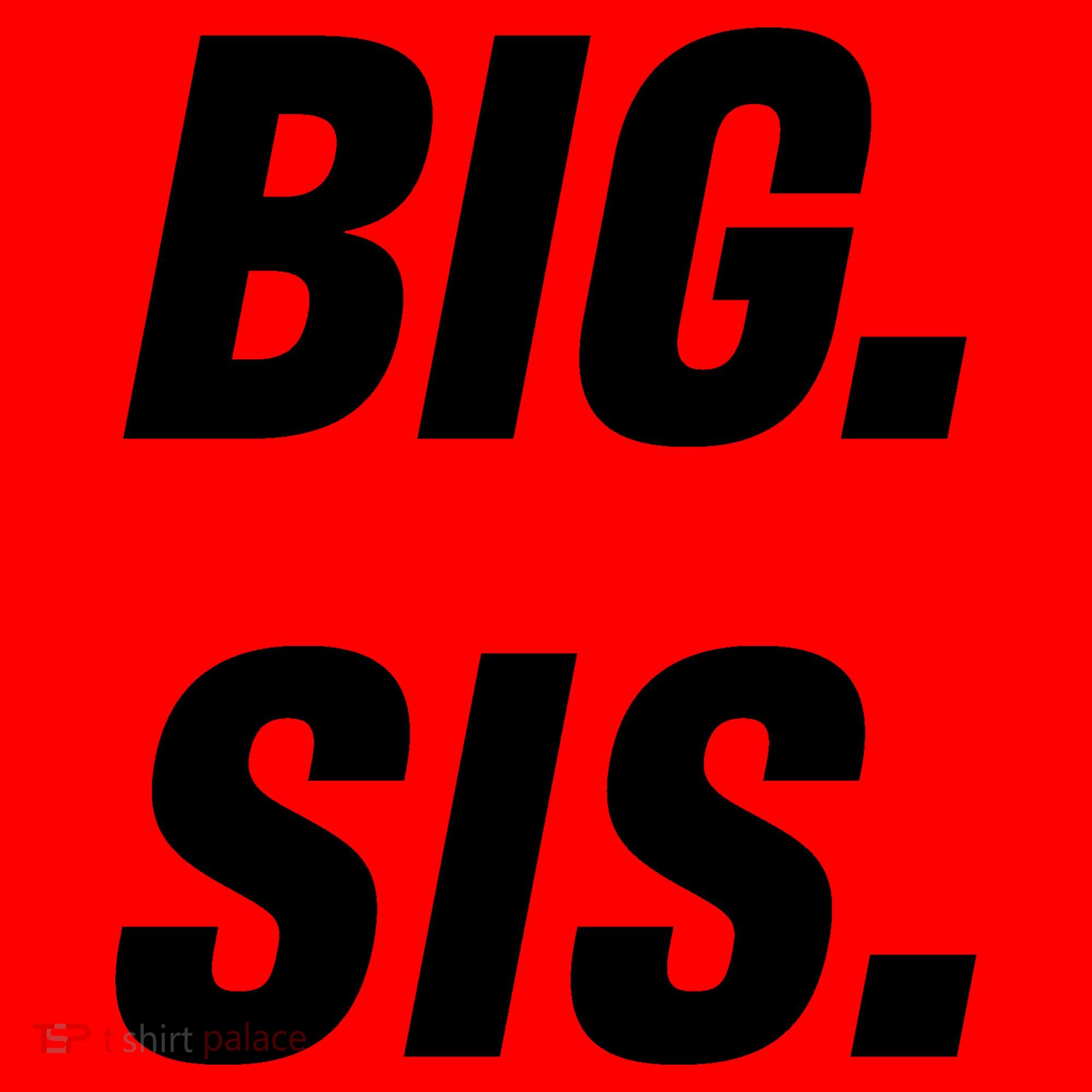 Big Sister Announcement Big Sis Santa Hat
