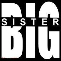 Big Sister Logo Ornament thumb 1