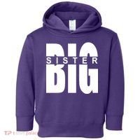 Big Sister Logo Toddler Hoodie thumb 0