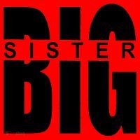 Big Sister Logo Santa Hat thumb 1