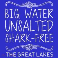 Big Water Unsalted Shark Free The Great Lakes Kids Hoodie thumb 5
