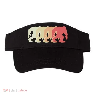 Visor