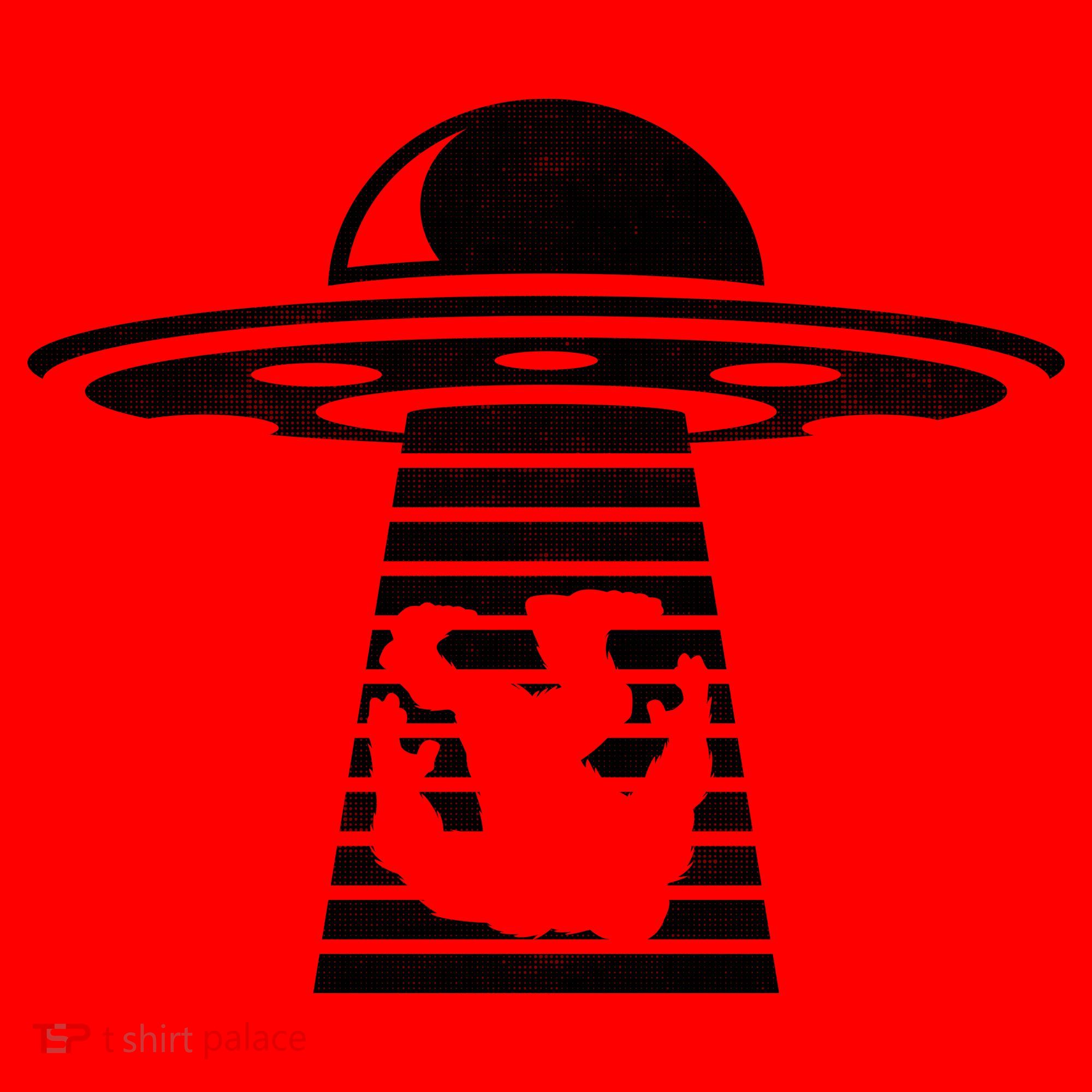 Bigfoot UFO Abduction Believe Santa Hat