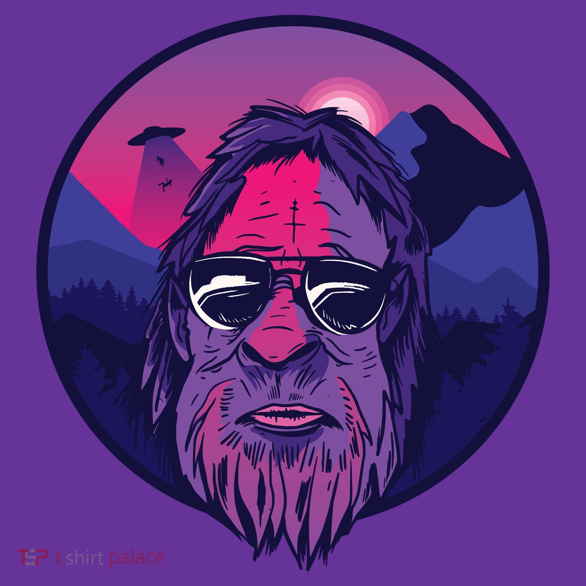 Bigfoot UFO Mountain Coaster