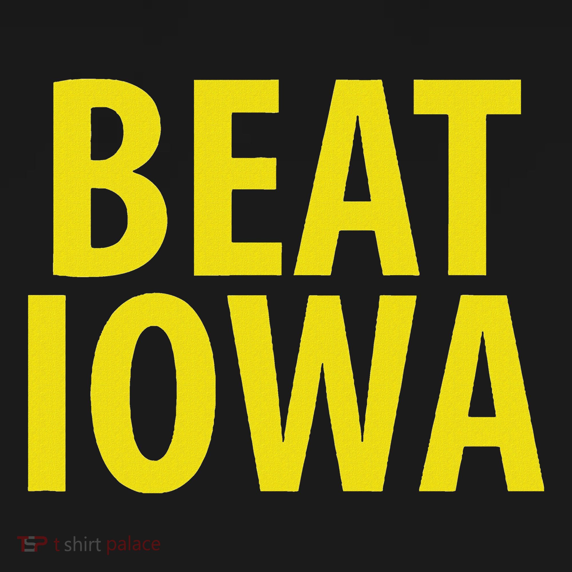 Beat Iowa House Divided State Of Ia Women's Hoodie