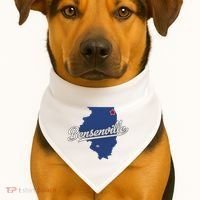 Bensenville Illinois Il Map USA-Made Doggie Bandana thumb 1