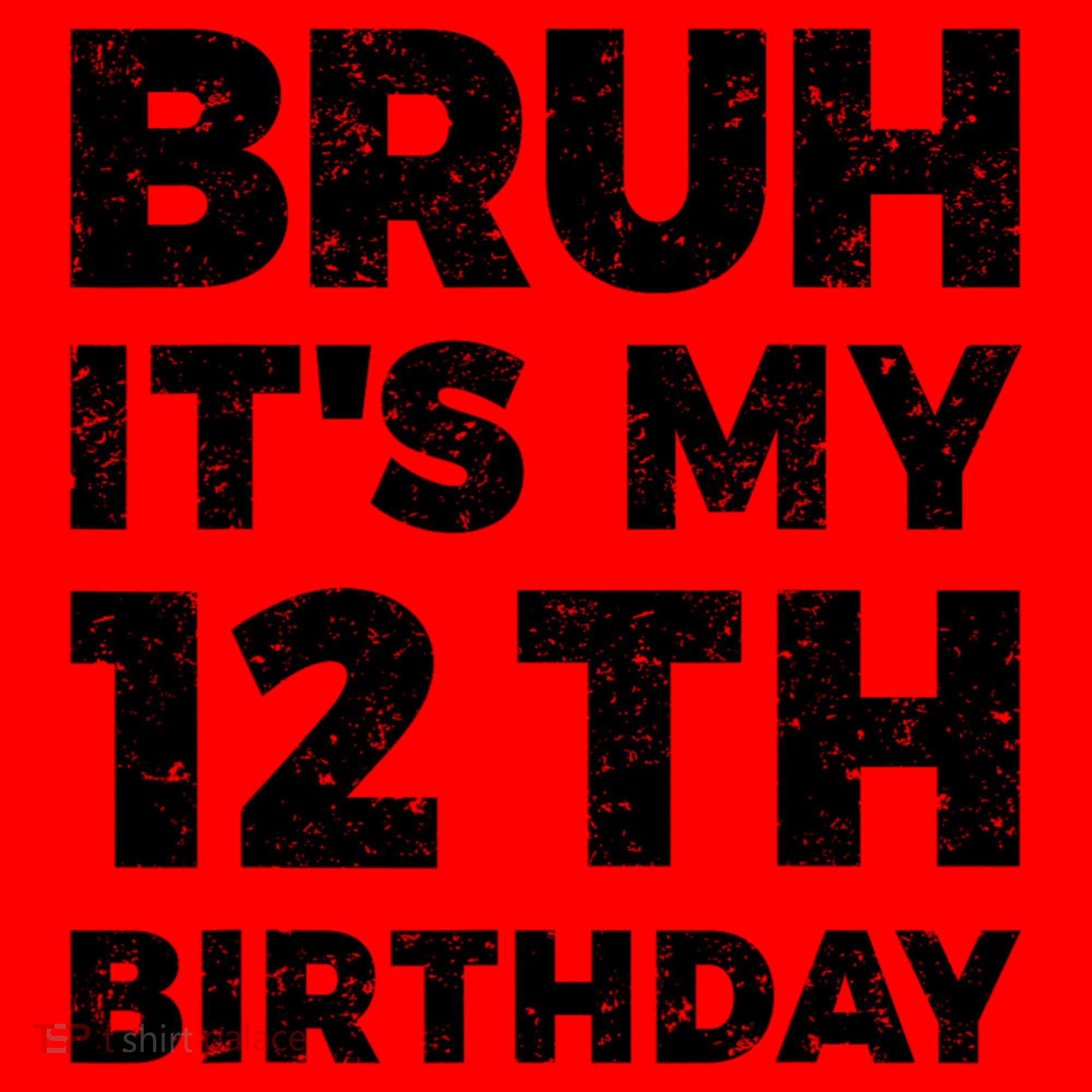 Bruh Its My 12th Birthday 12 Year Old Birthday Santa Hat