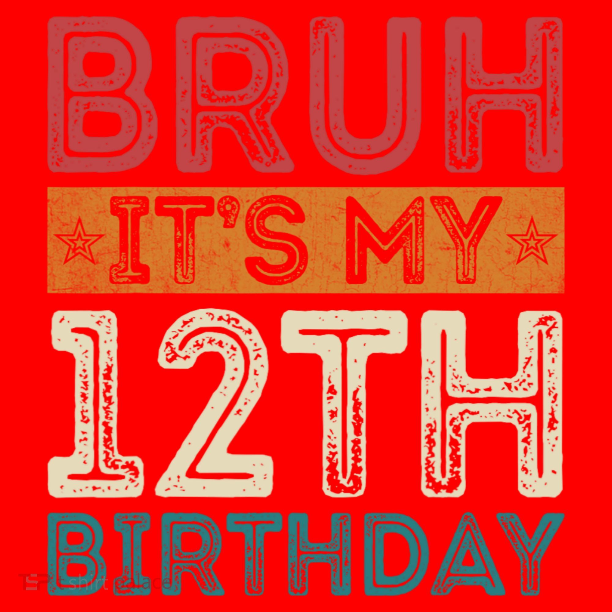 Bruh Its My 12th Birthday 12 Year Old Birthday Santa Hat