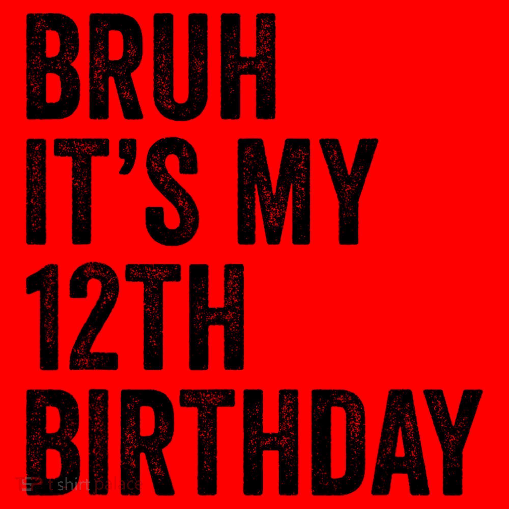 Bruh Its My 12th Birthday 12 Year Old Birthday Santa Hat