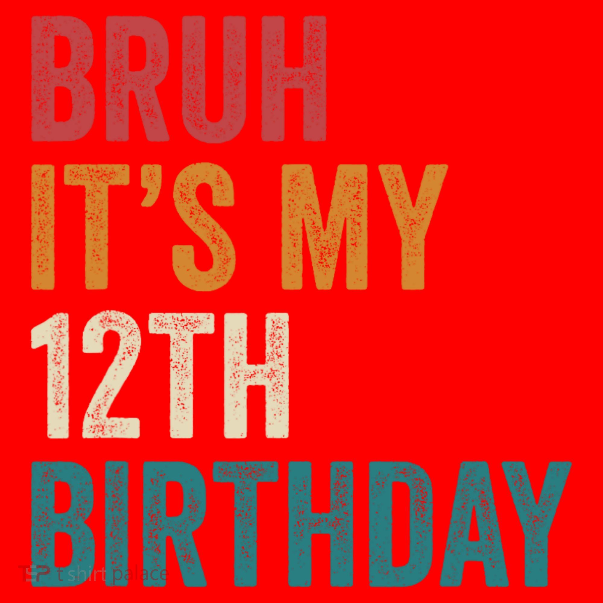 Bruh Its My 12th Birthday 12 Year Old Birthday Santa Hat