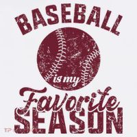 Baseball Is My Favorite Season Vintage T-Shirt thumb 7