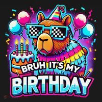 Bruh Its My Birthday Capybara Family Party Bday Gift Women's Hoodie thumb 2