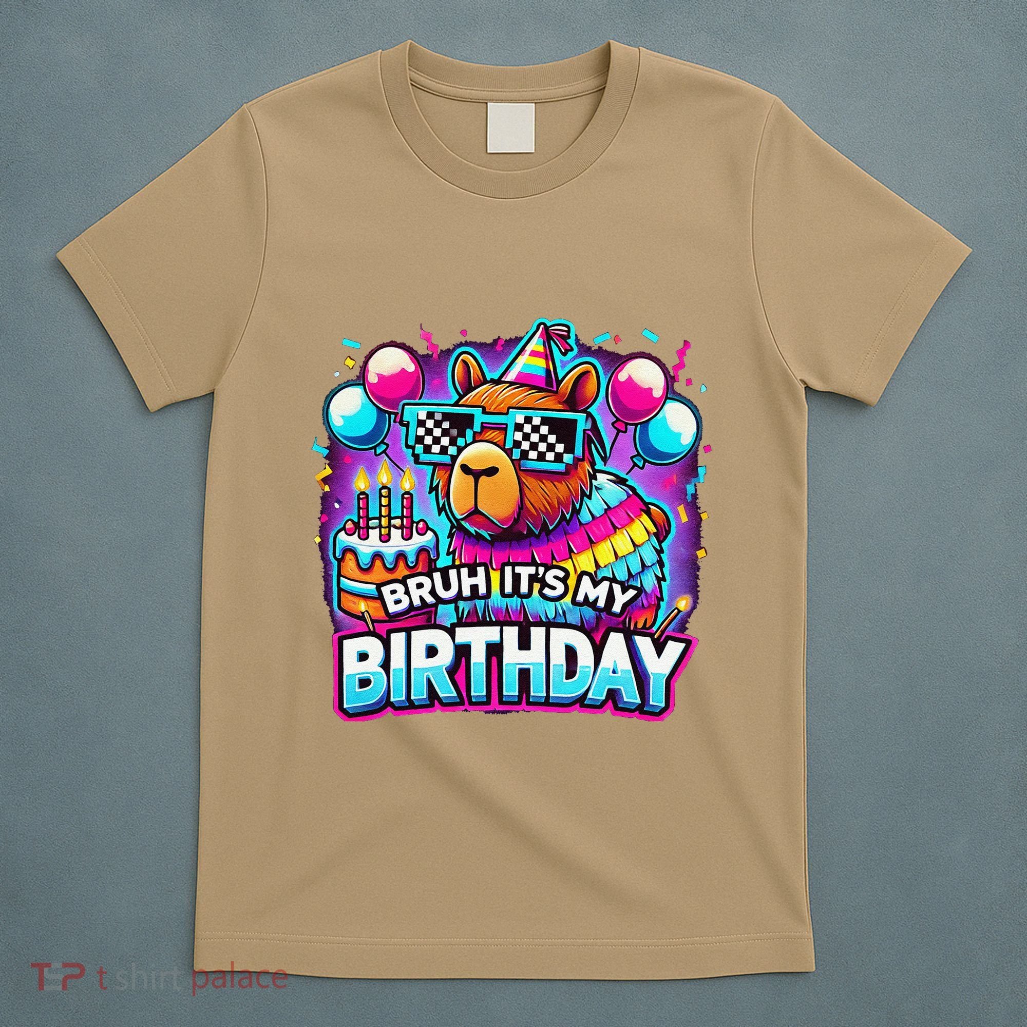 Bruh Its My Birthday Capybara Family Party Bday Gift T-Shirt