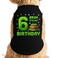 Bruh It'S My 6th Birthday Boy Gamer Pixel 6 Year Old Doggie Tank thumb 0