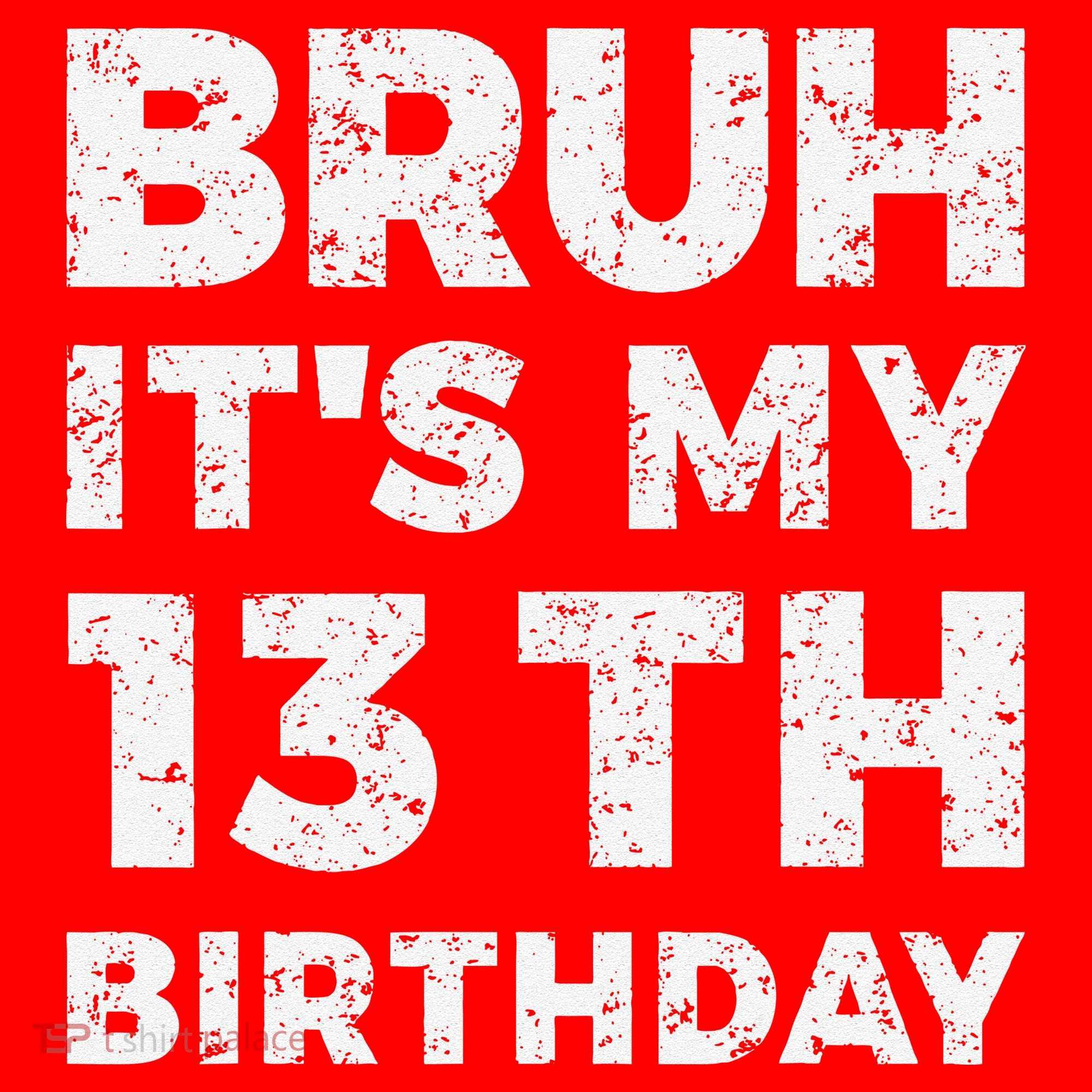 Bruh ItS My 13th Birthday 13 Year Old Birthday Santa Hat