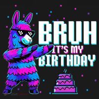Bruh Its My Birthday Llama Pinata Family Party Bday Women's Hoodie thumb 2