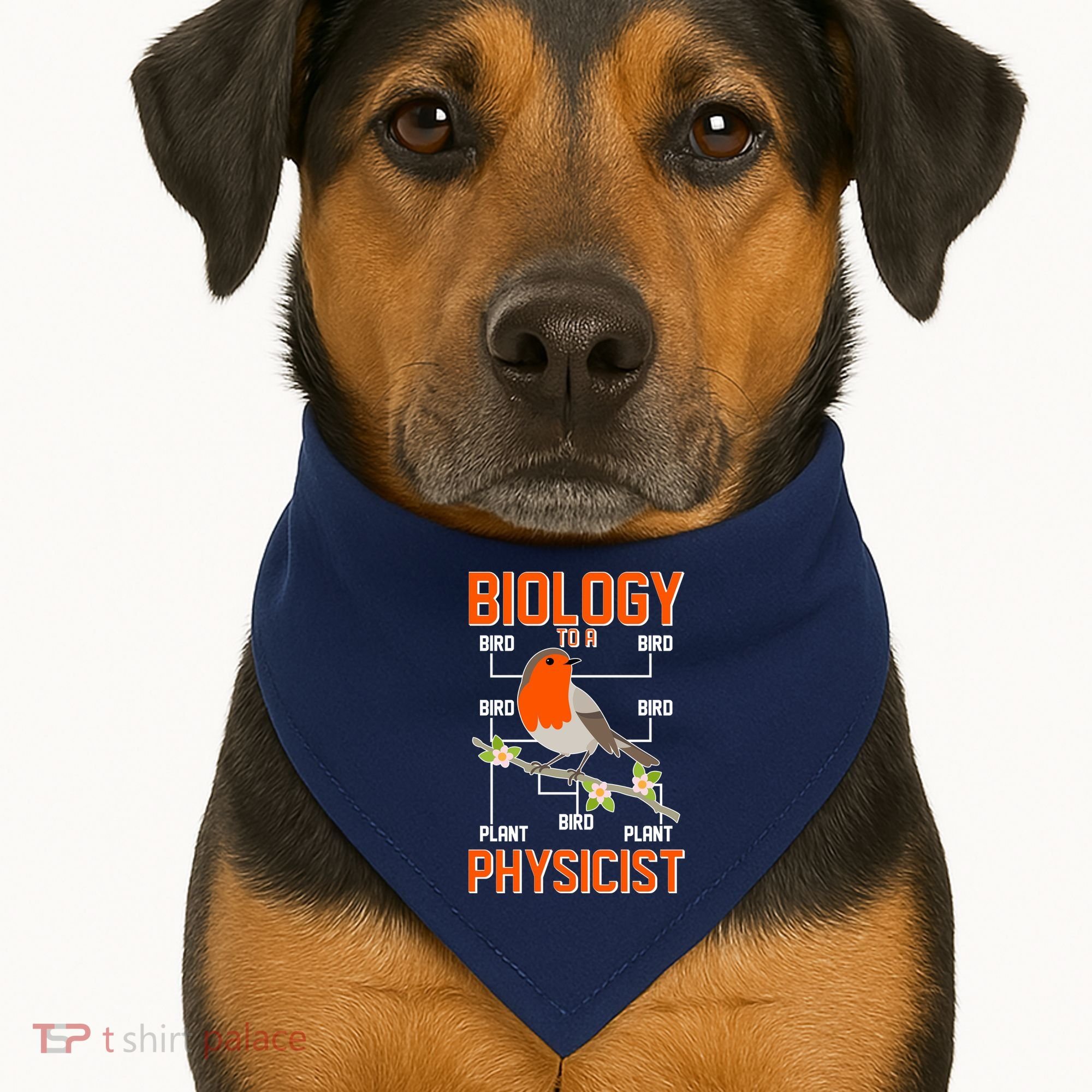 Biology To A Physicist Bird Biagram  USA-Made Doggie Bandana