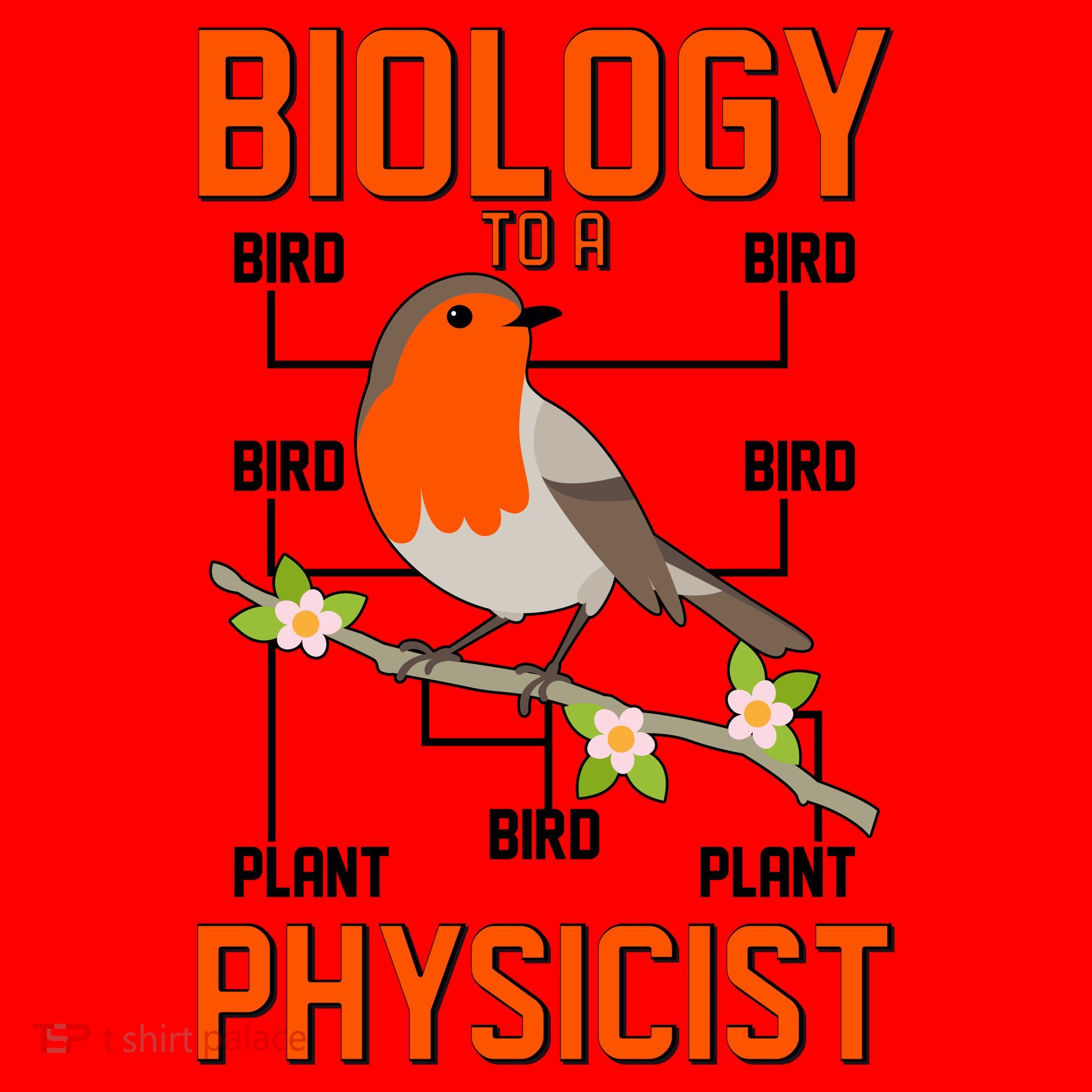 Biology To A Physicist Bird Biagram  Santa Hat