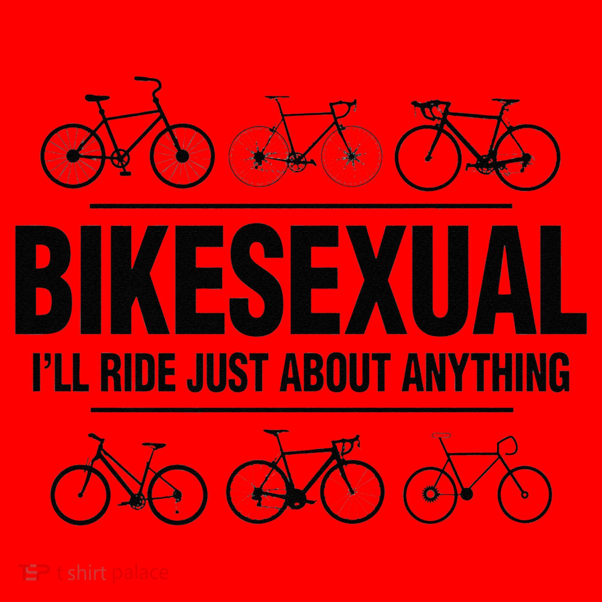 BikeSexual Ill Ride Anything Funny Biker Bicycling Gift Santa Hat