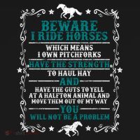 Beware I Ride Horses You Will Not Be A Problem Horse Lover Toddler Hoodie thumb 2