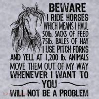 Beware I Ride Horses Not Be A Problem Funny Horse Women's Sweatshirt thumb 2