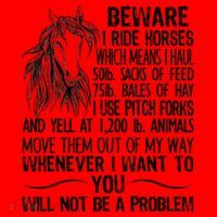 Beware I Ride Horses Not Be A Problem Funny Horse Santa Hat thumb 1