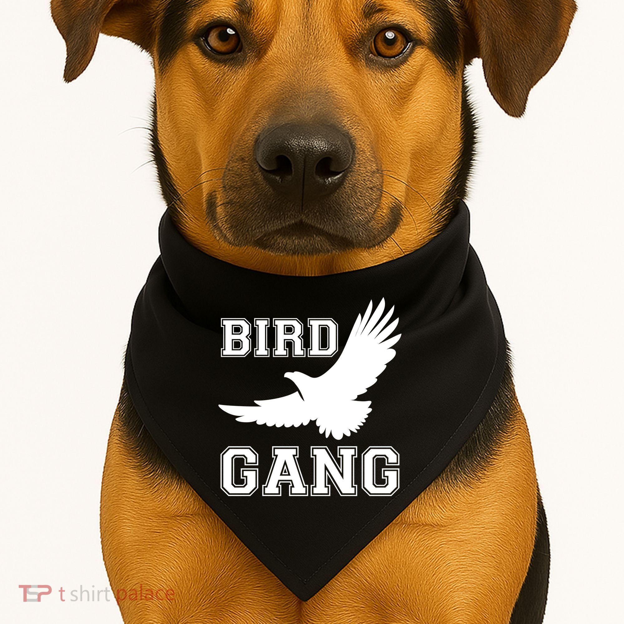Bird Gang Philadelphia USA-Made Doggie Bandana