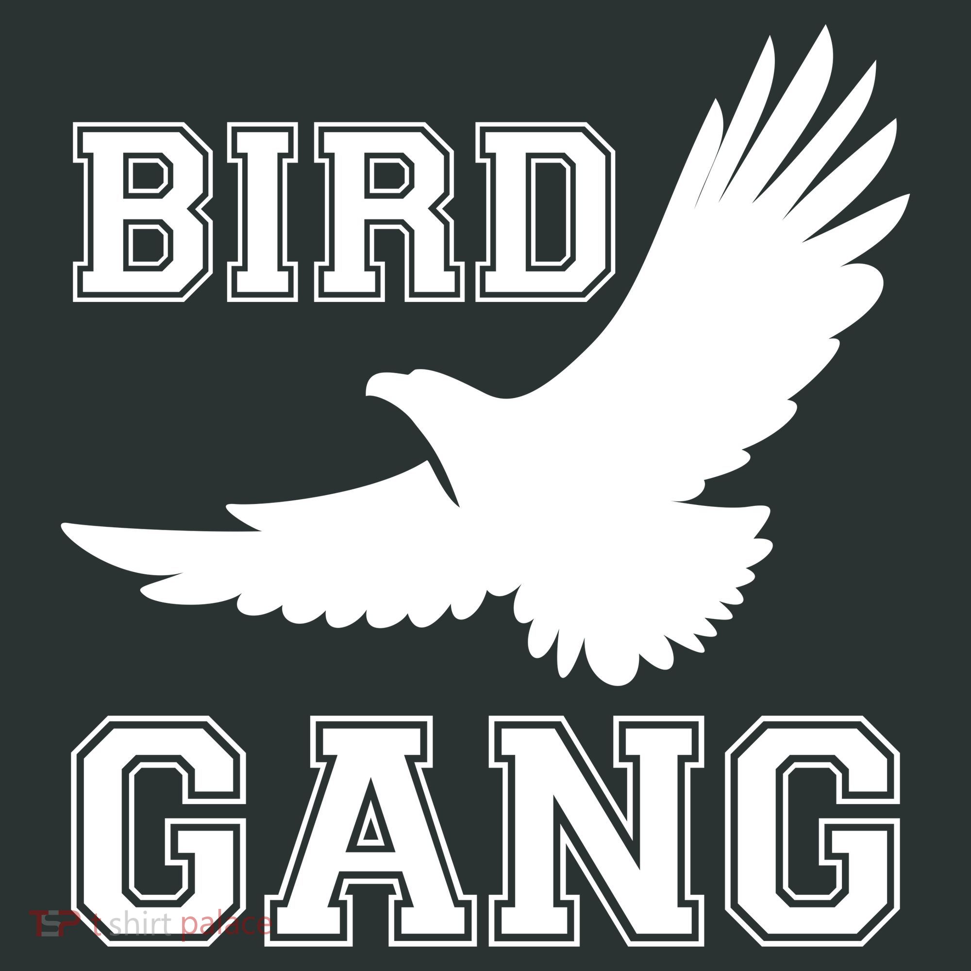 Bird Gang Philadelphia Button