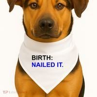 Birth: Nailed It. Funny USA-Made Doggie Bandana thumb 1