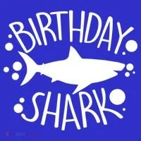 Birthday Shark Toddler T-Shirt thumb 4