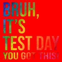 Bruh It's Test Day You Got This Testing Day Teacher Santa Hat thumb 1