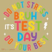 Bruh Its Test Day Rock The Test Teacher Student Testing Day Hoodie thumb 7