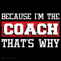 Because Im The Coach Thats Why Kickboxing Boxing Boxer Ornament thumb 1