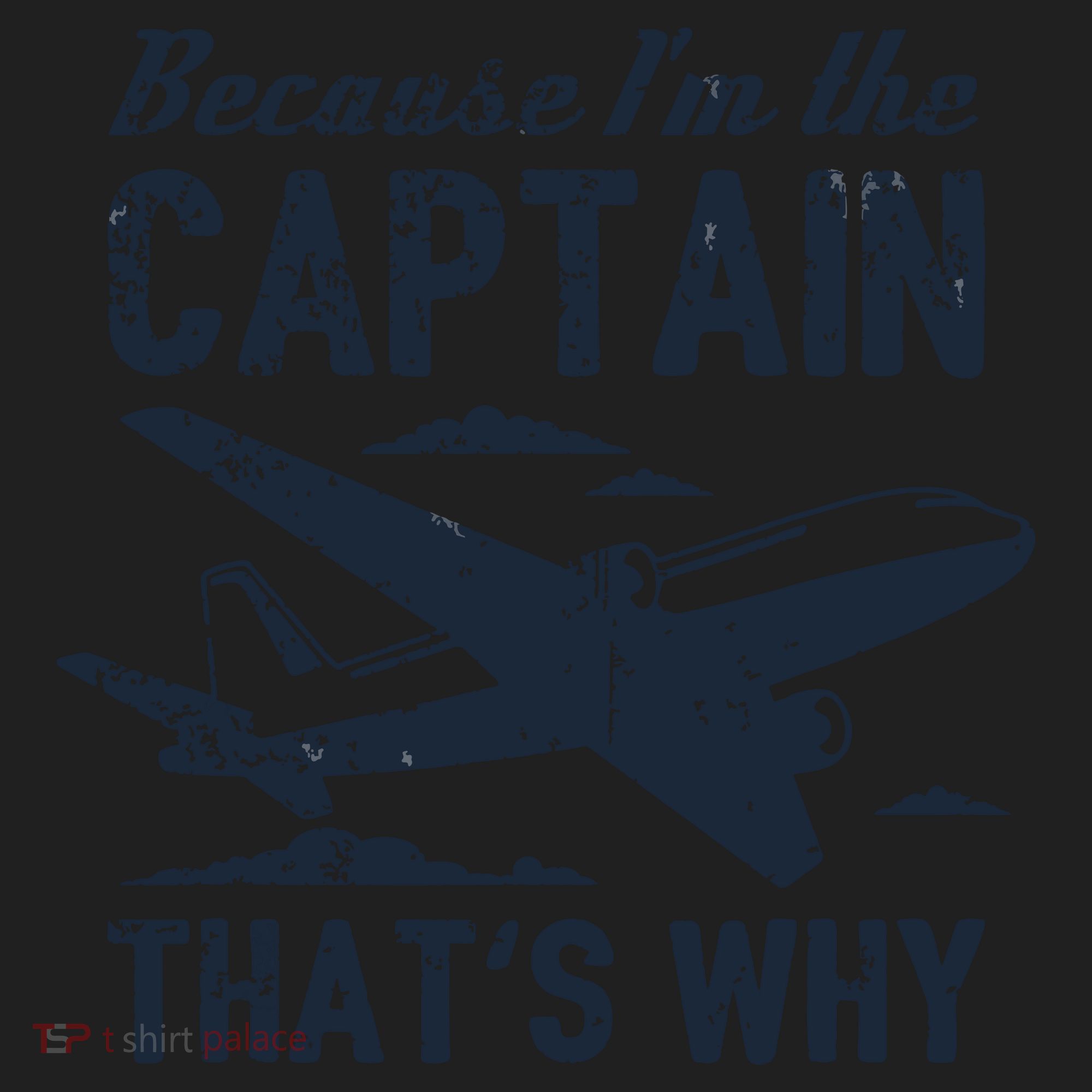 Because Im The Captain Thats Why Funny Pilot Gift Beanie