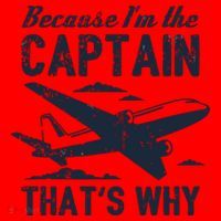 Because Im The Captain Thats Why Funny Pilot Gift Santa Hat thumb 1