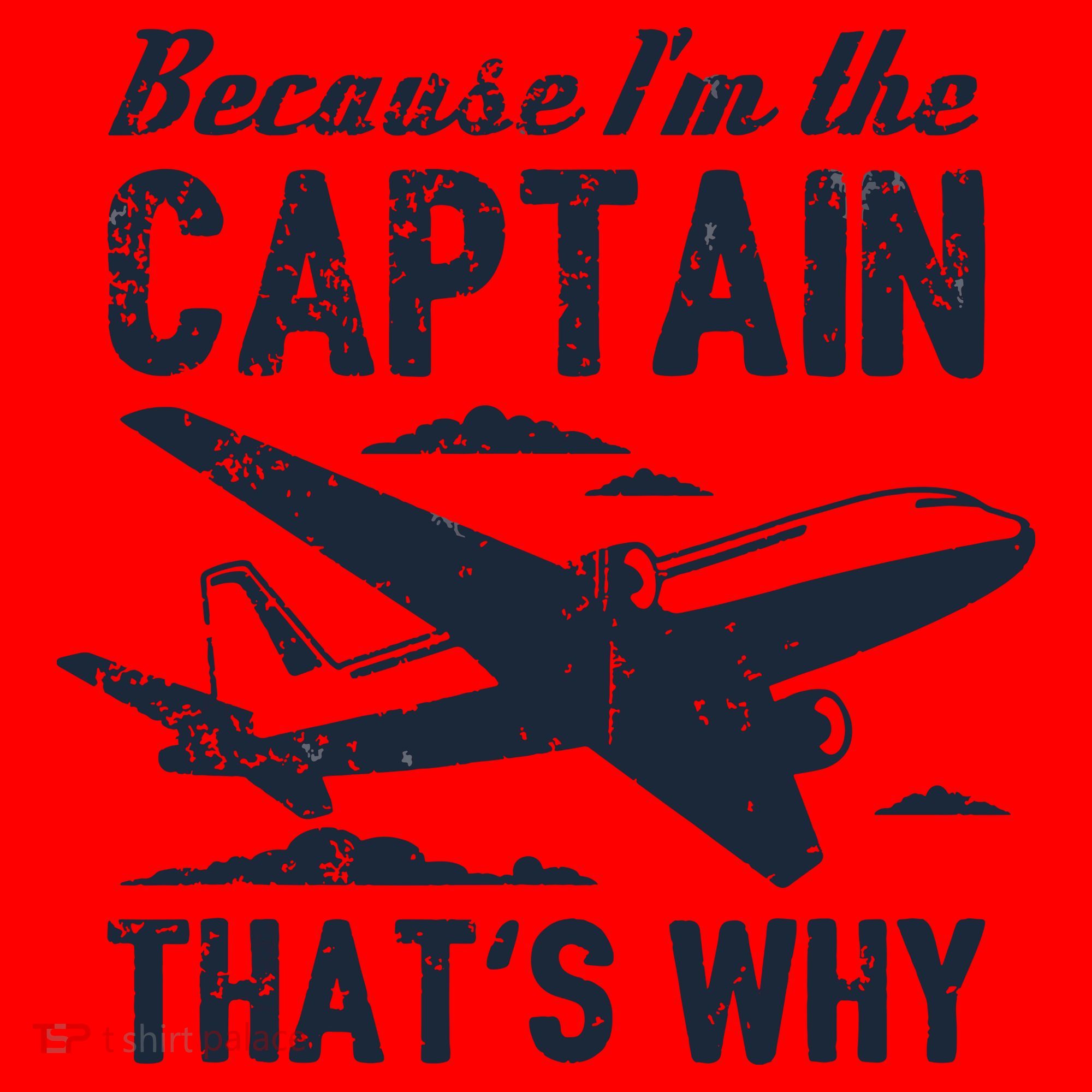 Because Im The Captain Thats Why Funny Pilot Gift Santa Hat