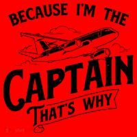 Because Im The Captain Thats Why Aircraft Airline Pilot Santa Hat thumb 1