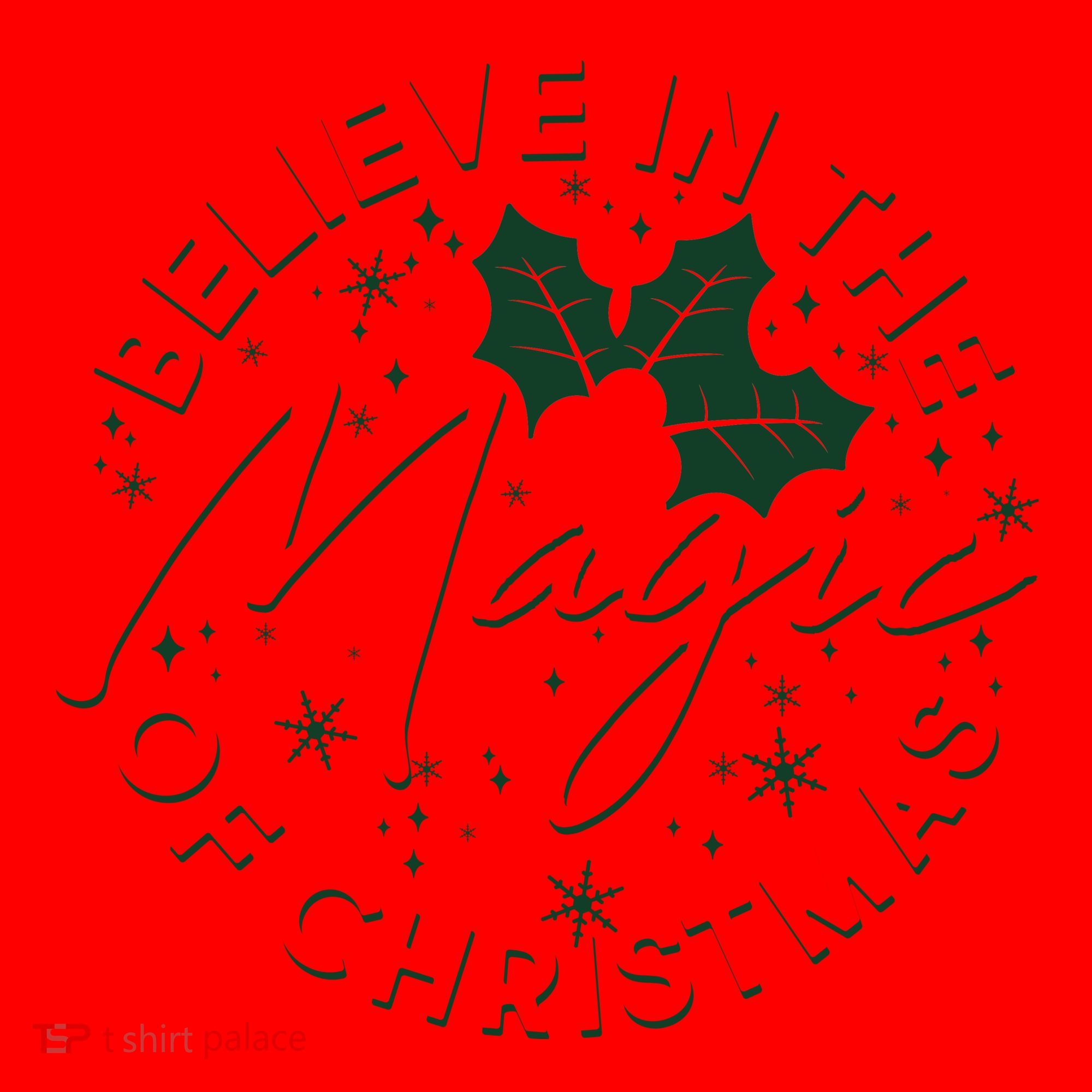 Believe In The Magic Of Christmas Santa Hat