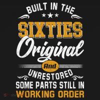 Built In The Sixties Original And Unrestored Apron thumb 3