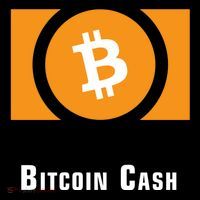 Bitcoin Cash Classic Long Sleeve Shirt thumb 2