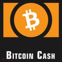 Bitcoin Cash Classic Toddler Hoodie thumb 2