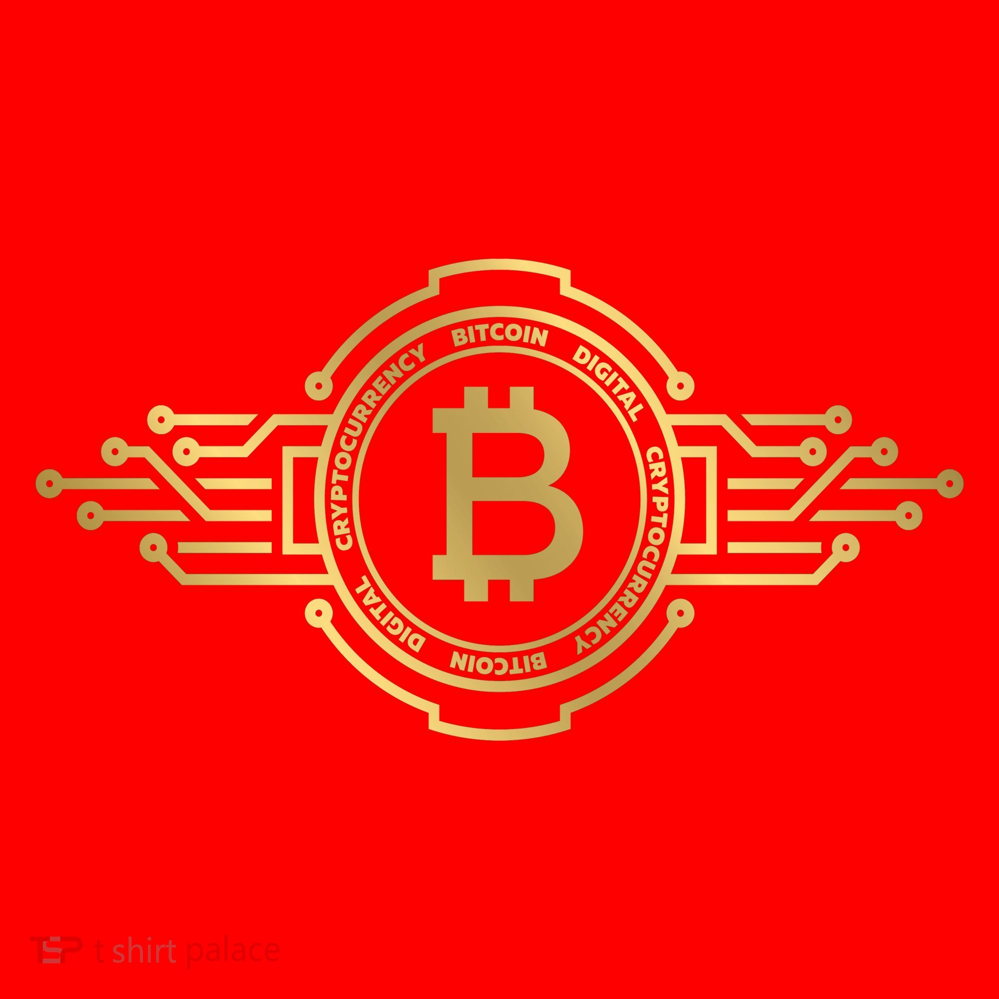 Bitcoin Crypto Coin Santa Hat