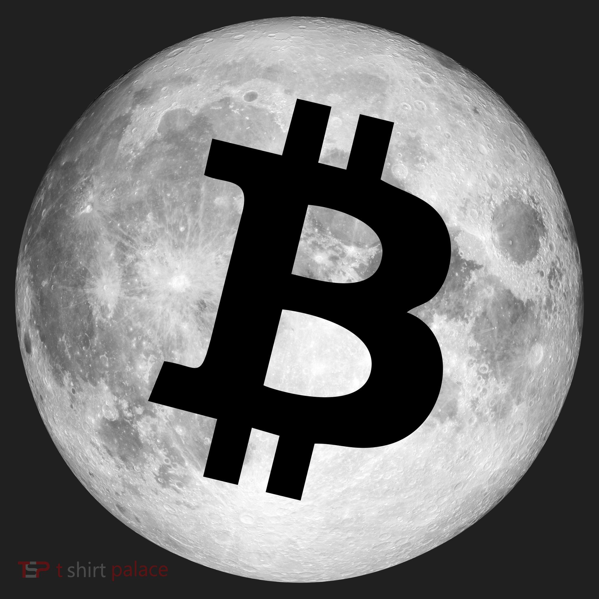 Bitcoin Cryptocurrency Fly Me To The Moon Logo Hat