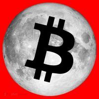 Bitcoin Cryptocurrency Fly Me To The Moon Logo Santa Hat thumb 1